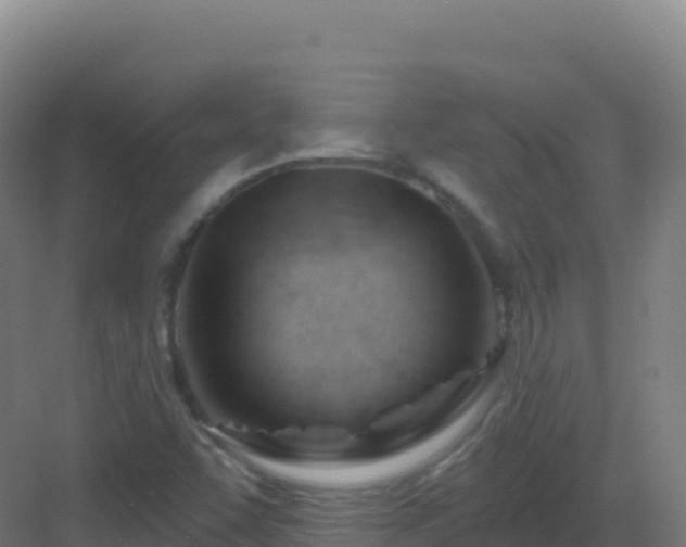 X0000083041455200702091356