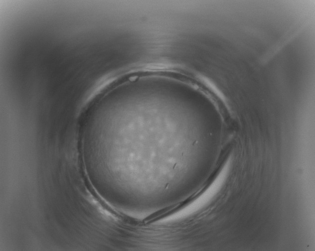 X0000083041456200702091356