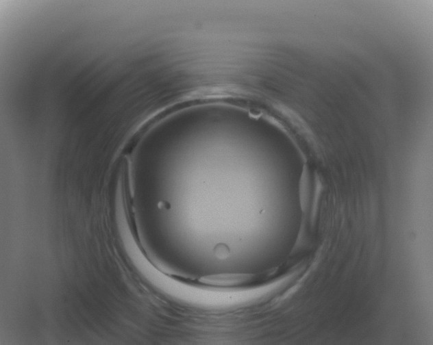 X0000083041457200702091356