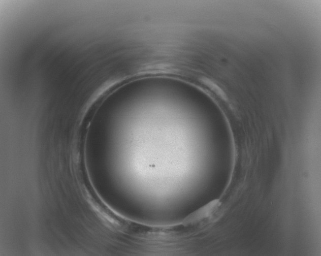 X0000083041458200702091356