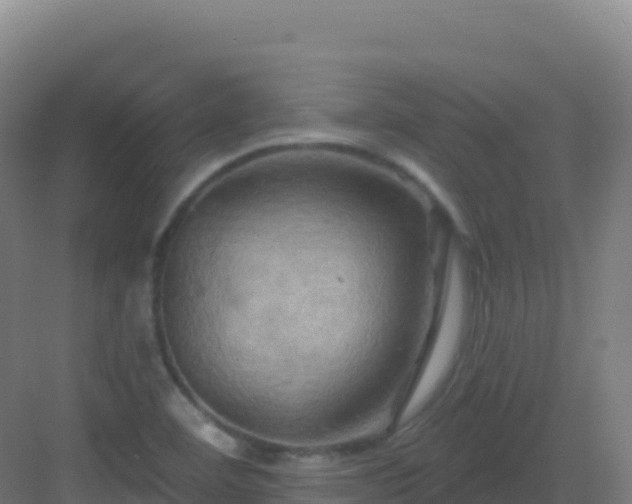 X0000083041460200702091356