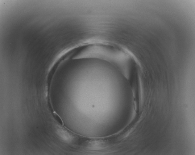 X0000083041461200702091356