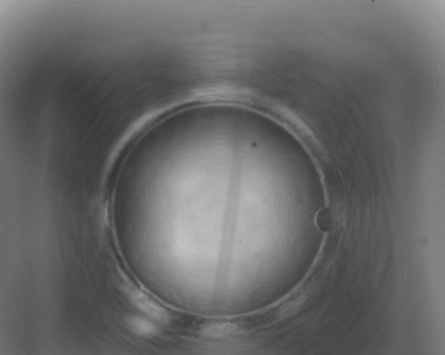 X0000083041462200702091356