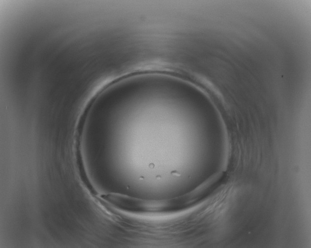 X0000083041463200702091356