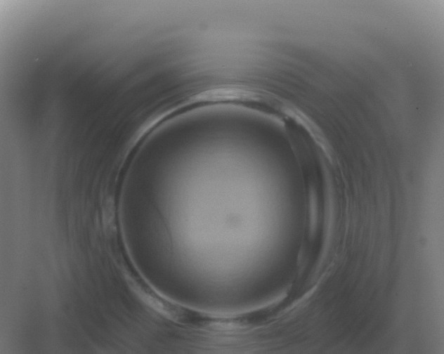 X0000083041465200702091356