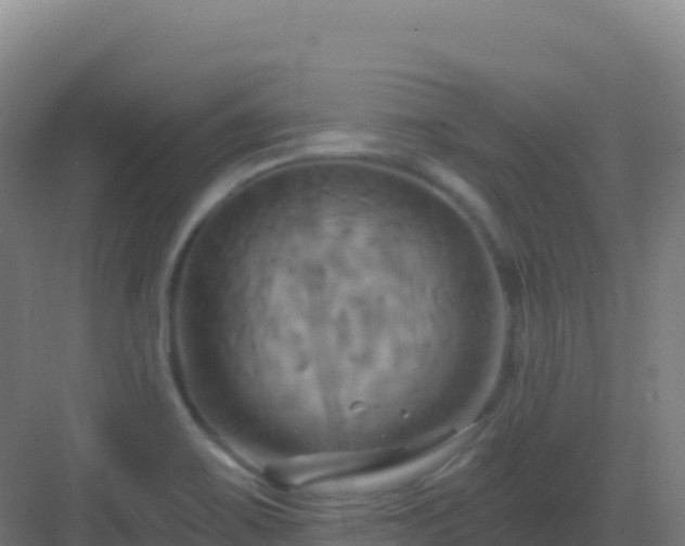 X0000083041467200702091356