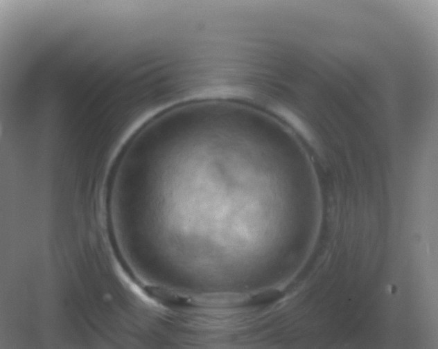 X0000083041468200702091356