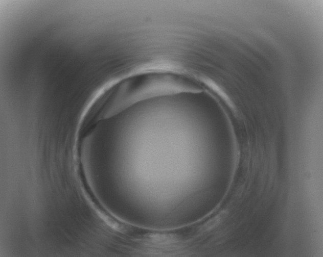 X0000083041469200702091356