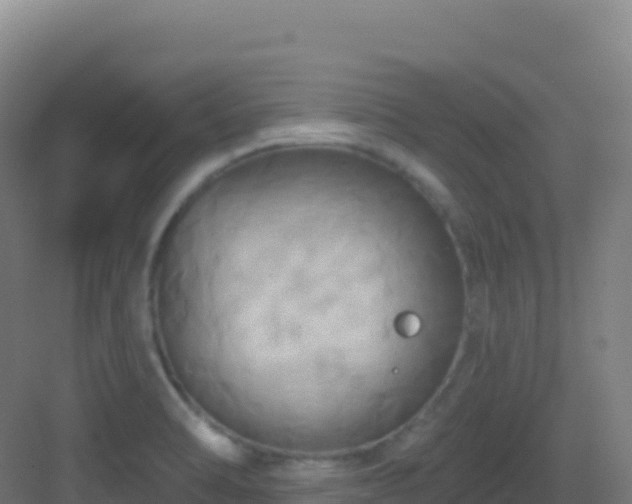 X0000083041470200702091356