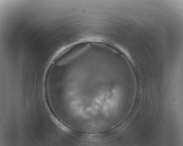 X0000083041471200702091356