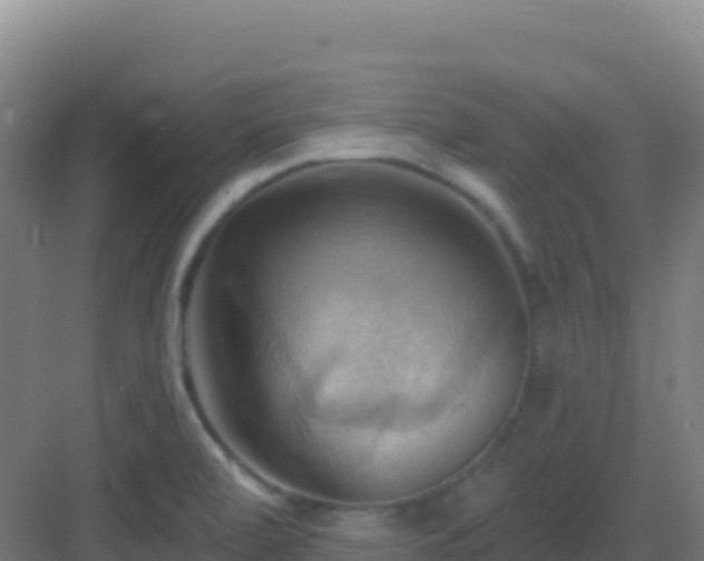 X0000083041472200702091356