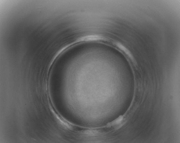 X0000083041473200702091356