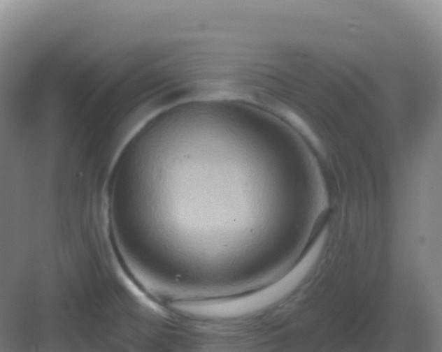 X0000083041476200702091356