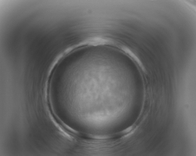 X0000083041477200702091356