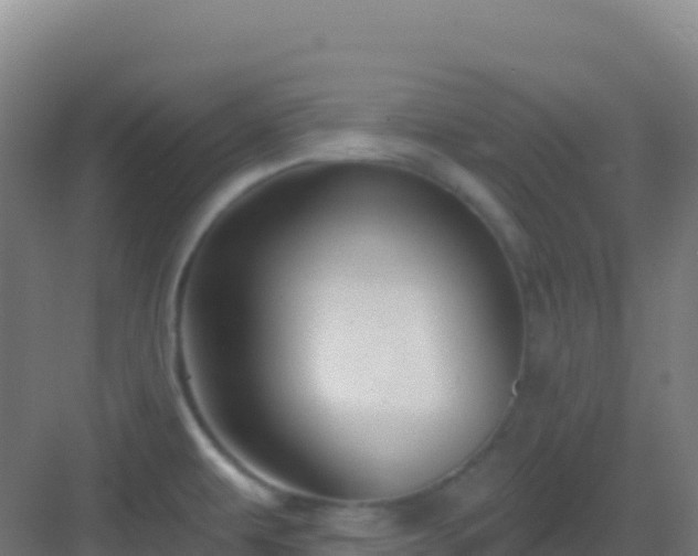 X0000083041479200702091356