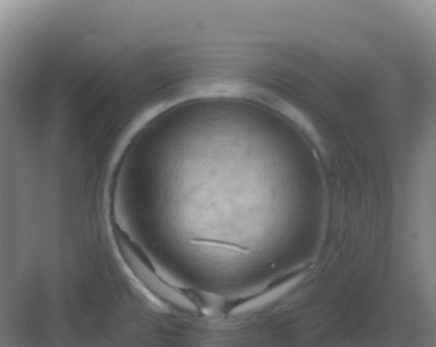 X0000083041480200702091356