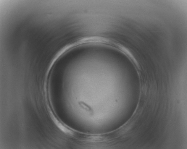 X0000083041482200702091356