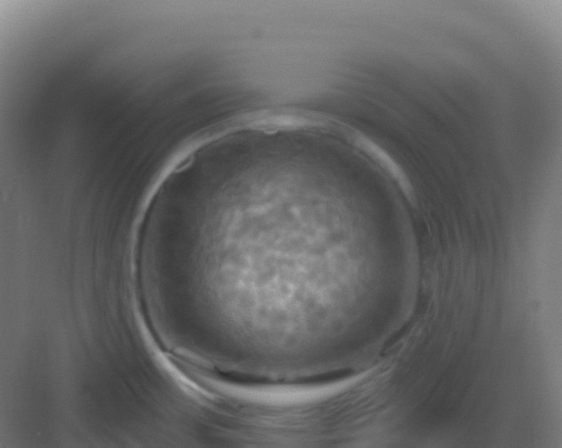 X0000083041483200702091356