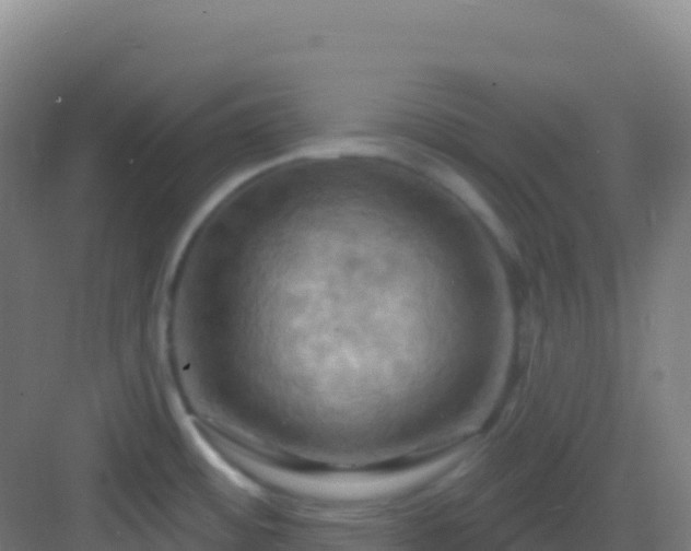 X0000083041484200702091356