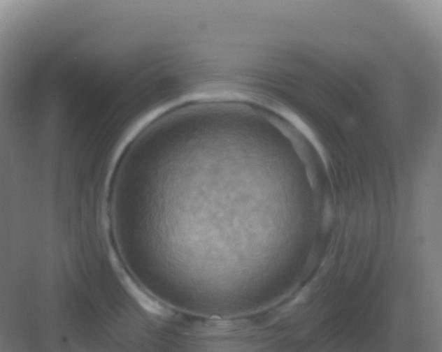 X0000083041485200702091356