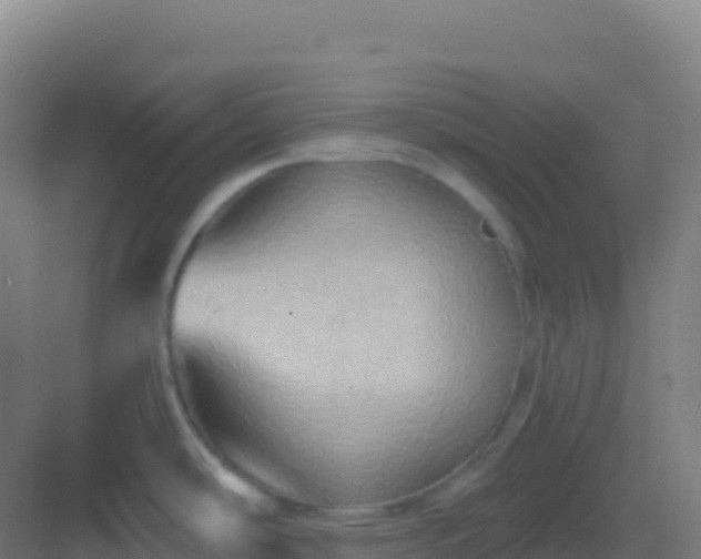 X0000083041486200702091356