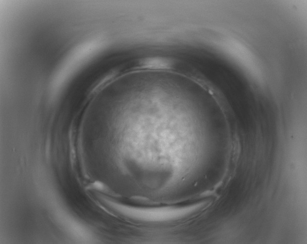 X0000083041487200702091356