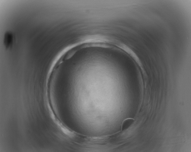 X0000083041488200702091356