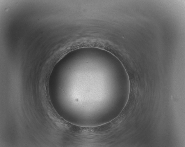 X0000083041489200702091355