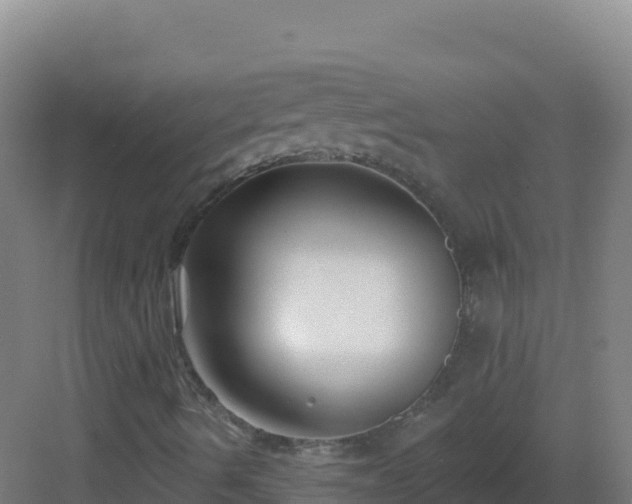 X0000083041490200702091355