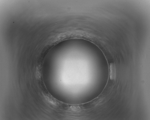 X0000083041491200702091355