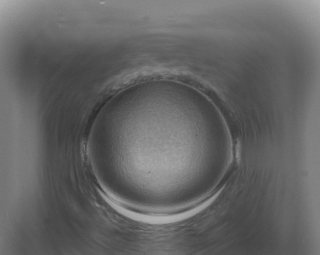 X0000083041492200702091355