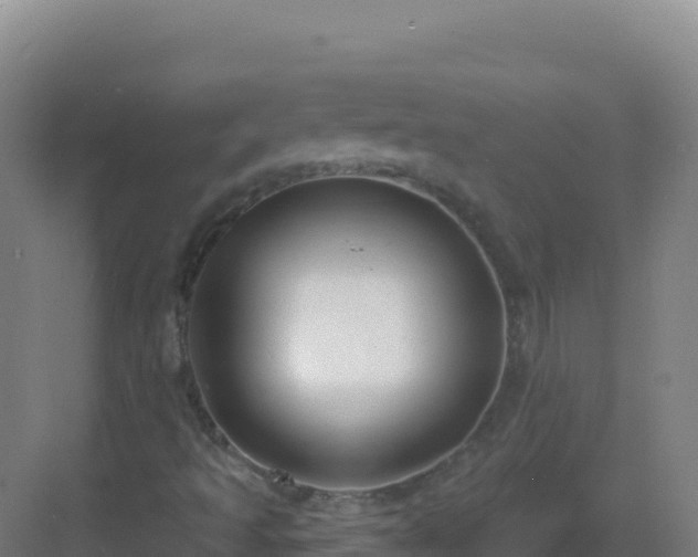 X0000083041493200702091355