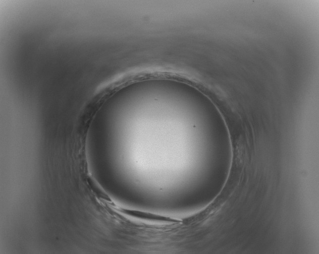 X0000083041494200702091355