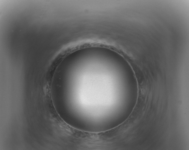 X0000083041495200702091355