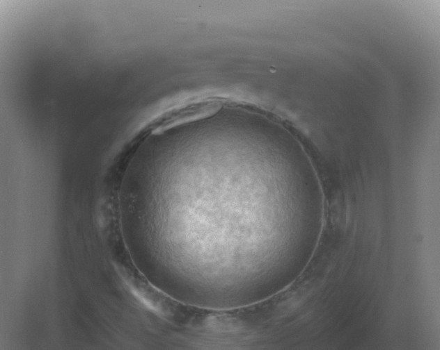 X0000083041496200702091355