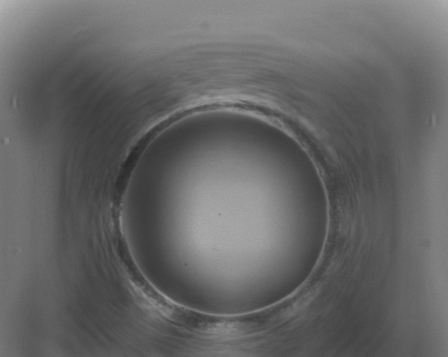 X0000083041497200702091355