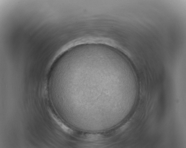 X0000083041498200702091355