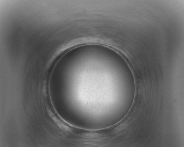 X0000083041499200702091355