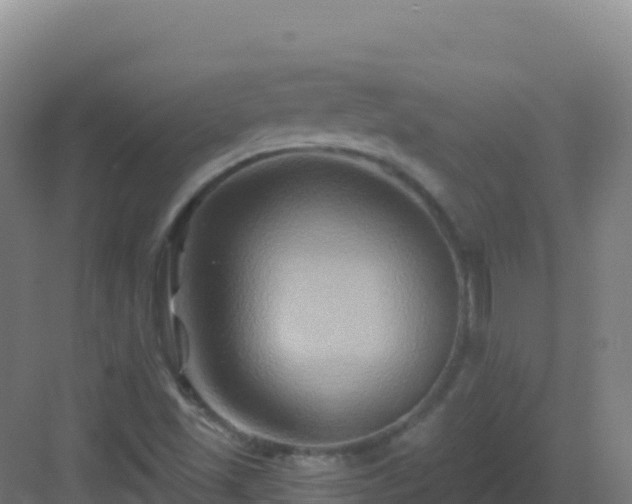 X0000083041501200702091355