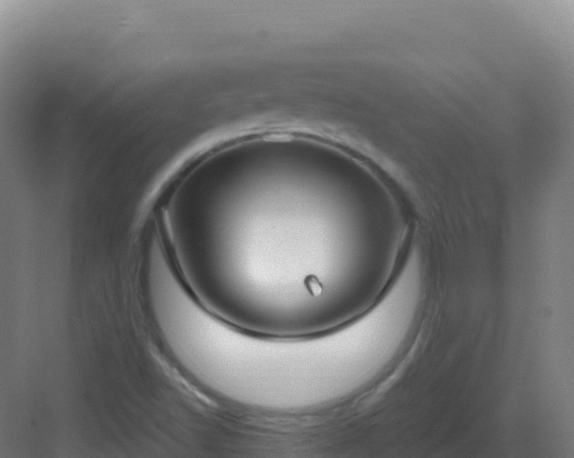 X0000083041502200702091355