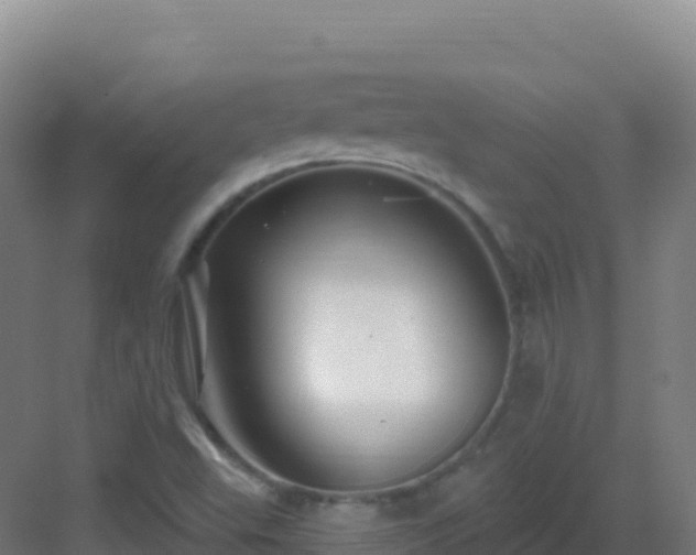 X0000083041503200702091355