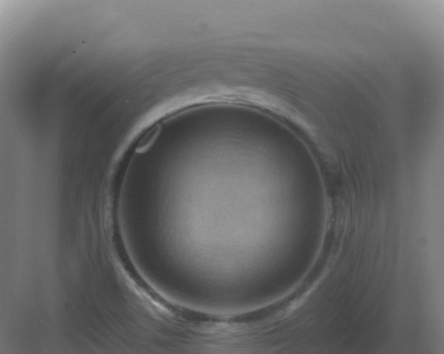 X0000083041506200702091355