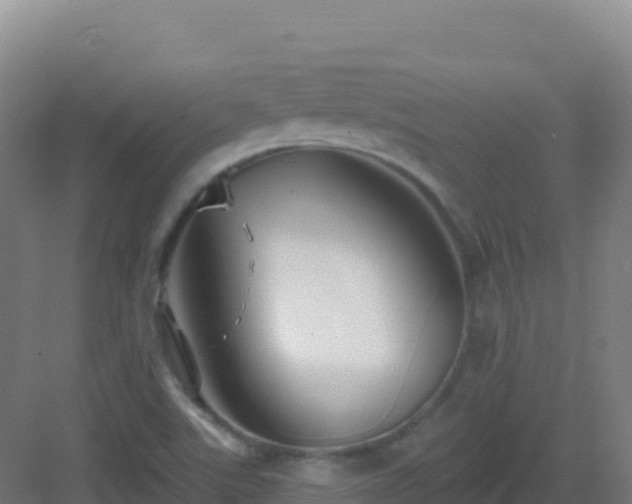 X0000083041507200702091355