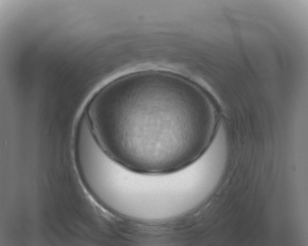 X0000083041508200702091355