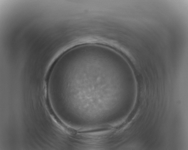 X0000083041509200702091355