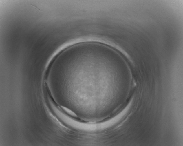 X0000083041510200702091355