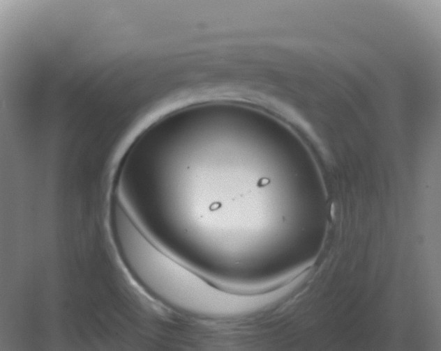 X0000083041512200702091355