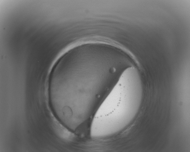 X0000083041514200702091355