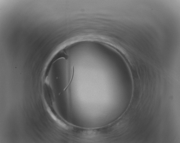 X0000083041515200702091355