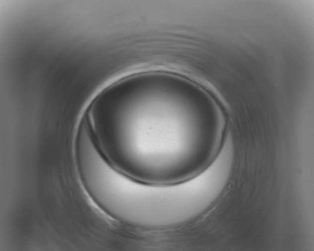 X0000083041516200702091355